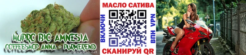 Дистиллят ТГК гашишное масло  Зеленокумск 